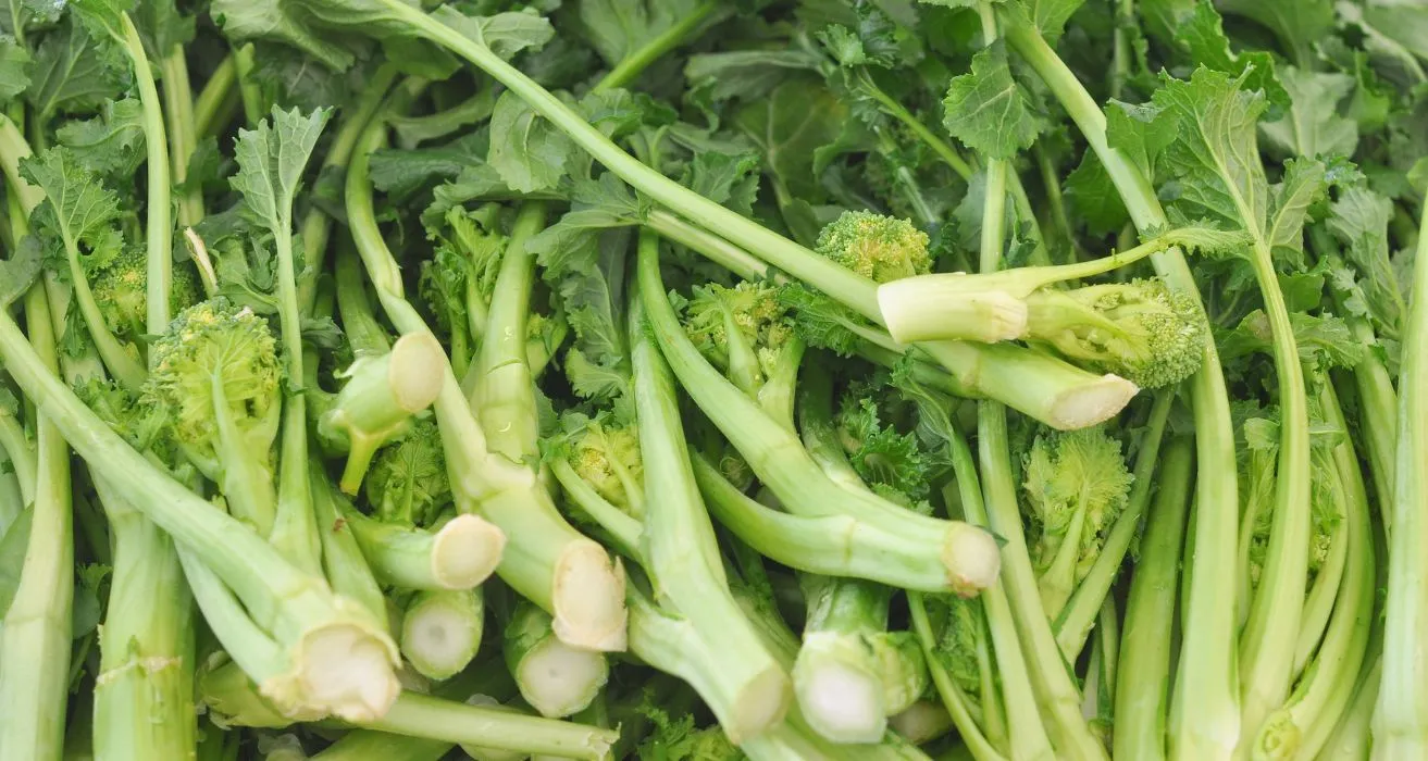 Fresh Rapini