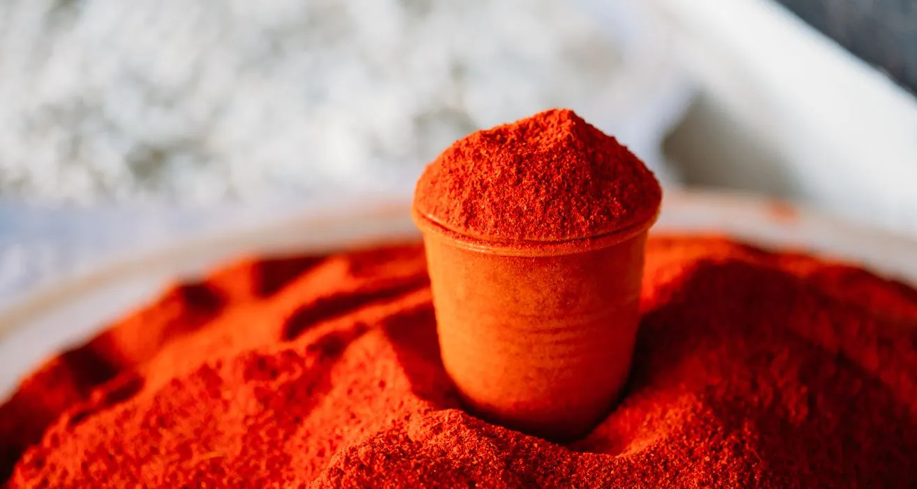 ancho chili powder